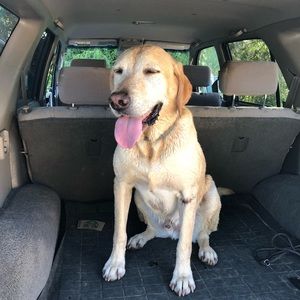 Meet your Posher, Debbie